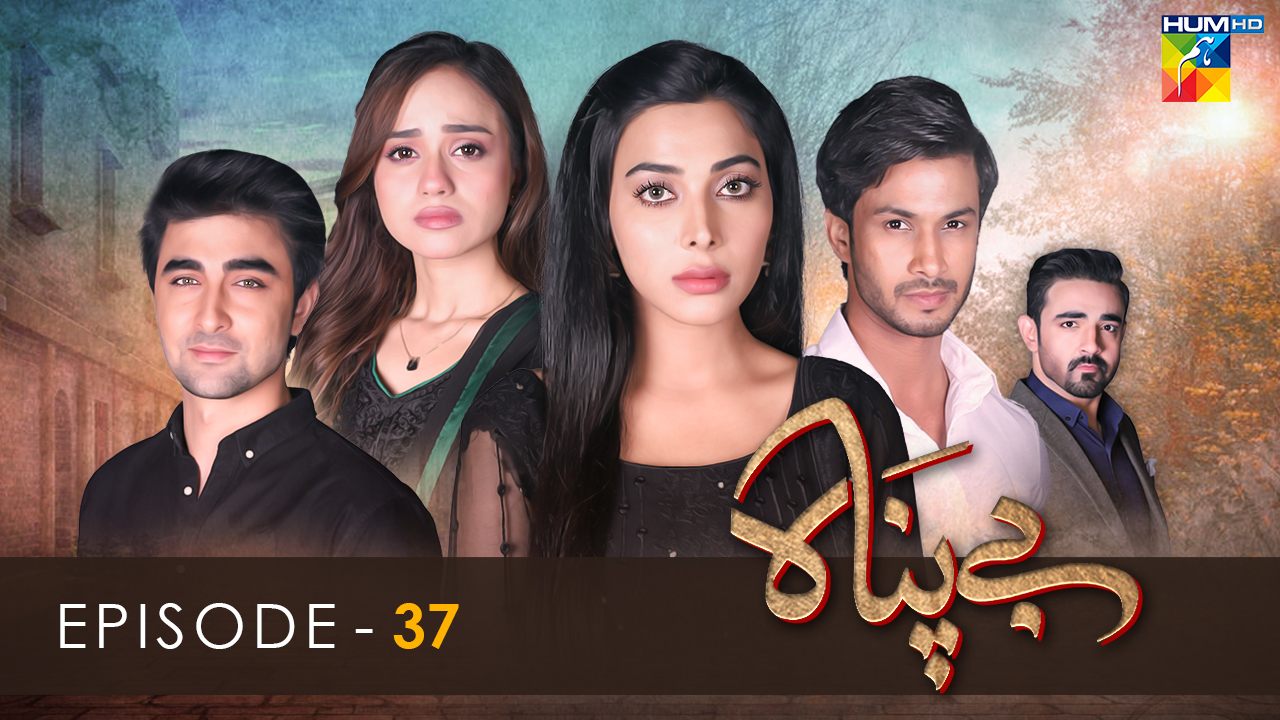 Watch Bepannah Season 1 Episode 64 Online | Bepannah Clips on MX Player