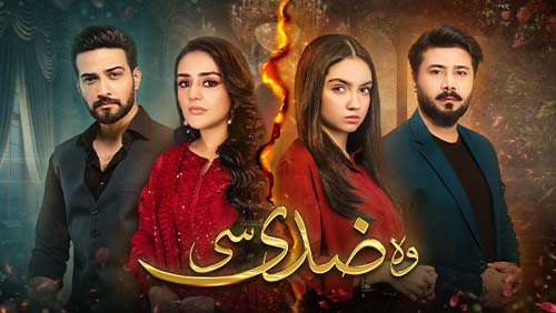 HUM TV Latest Dramas Watch Latest and Archival Dramas Online