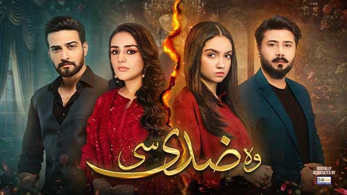 HUM TV Official Website Dramas Award Shows More